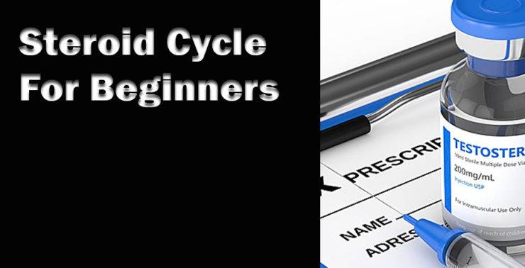 A Beginner's Guide: Steroid Cycle For Beginners-The Basics